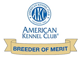 AKC Breeder of Merit